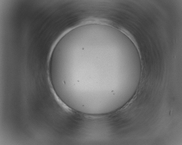 X0000070201152200605261029