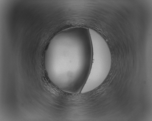 X0000070201153200605261029