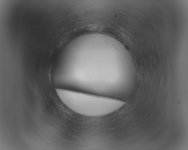 X0000070201154200605261029