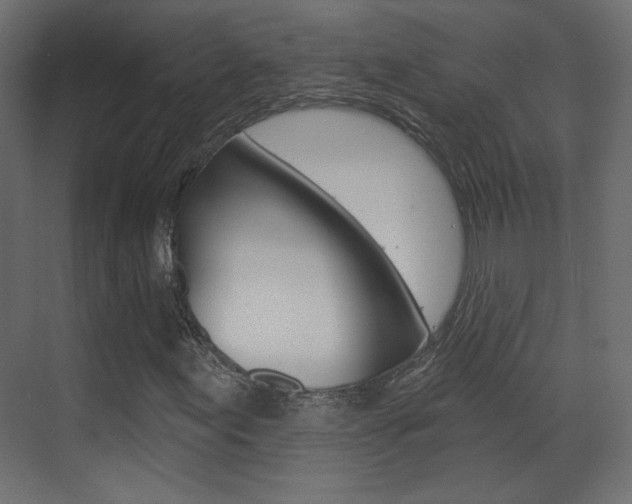 X0000070201155200605261028