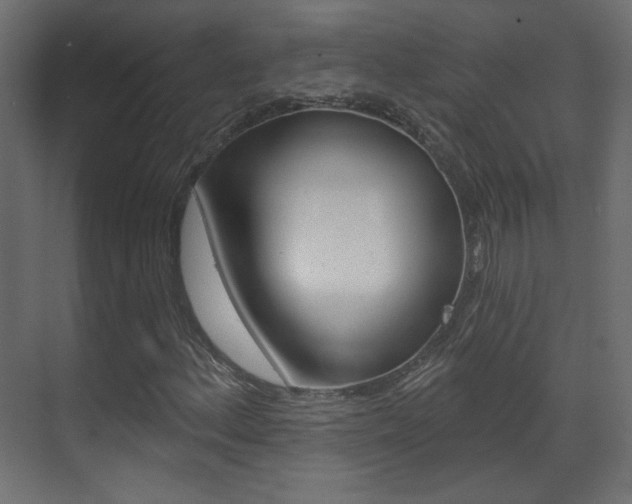 X0000070201156200605261028