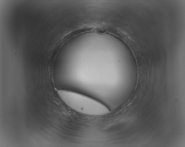 X0000070201158200605261028