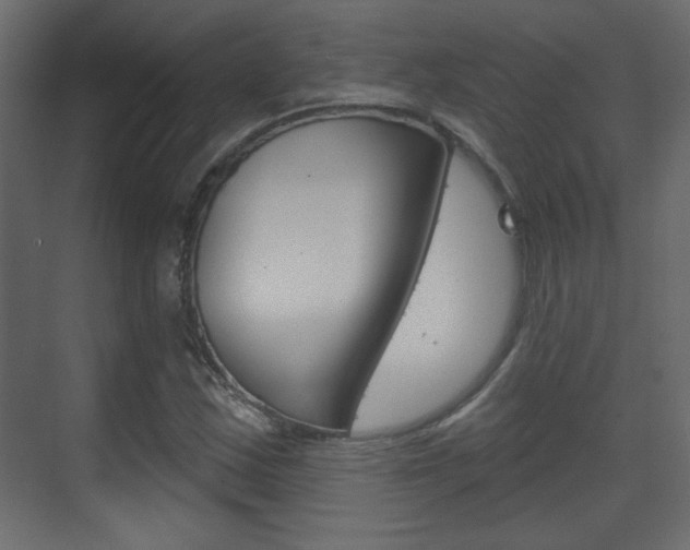 X0000070201163200605261028