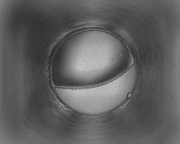 X0000070201164200605261028