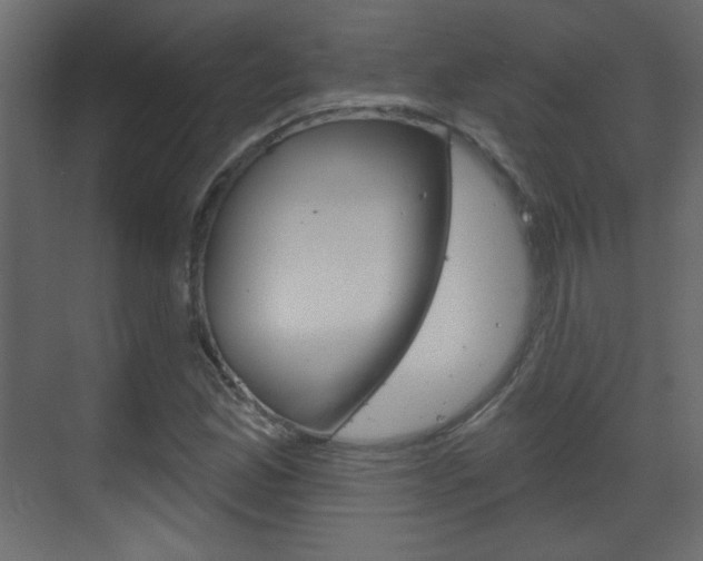 X0000070201165200605261028