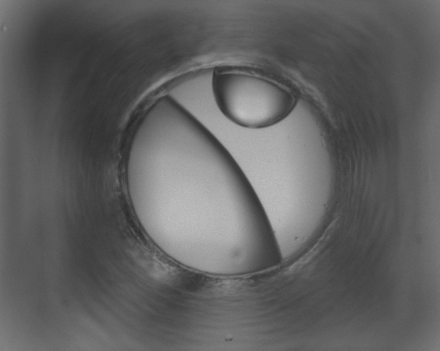 X0000070201166200605261028