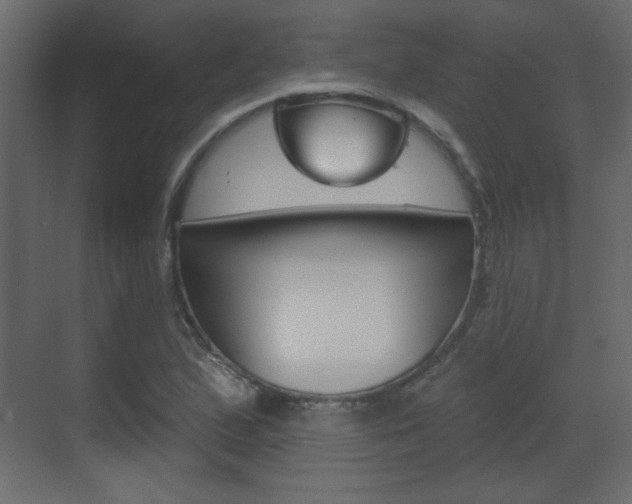 X0000070201167200605261028