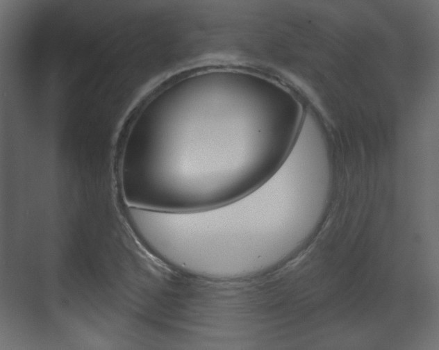 X0000070201168200605261028