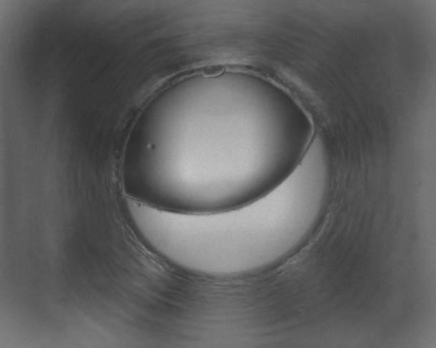 X0000070201169200605261028