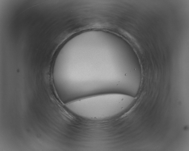 X0000070201170200605261028