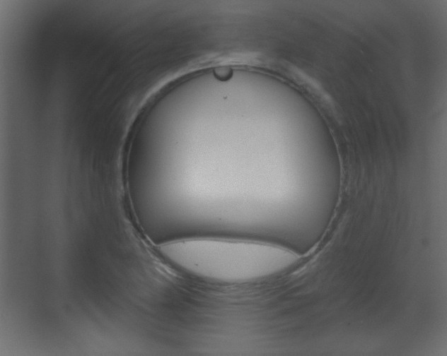X0000070201174200605261028