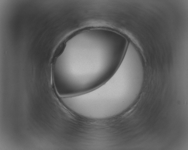 X0000070201175200605261028