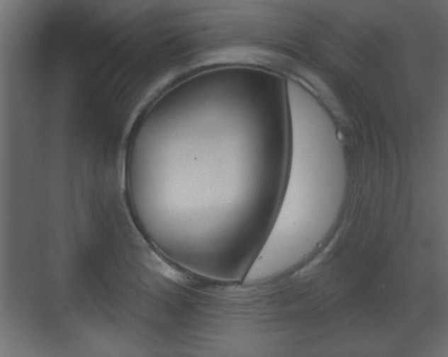 X0000070201180200605261028