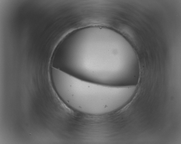 X0000070201182200605261028