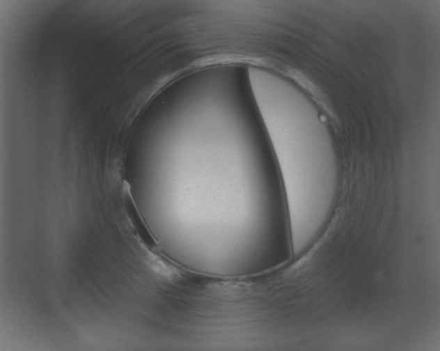 X0000070201185200605261028
