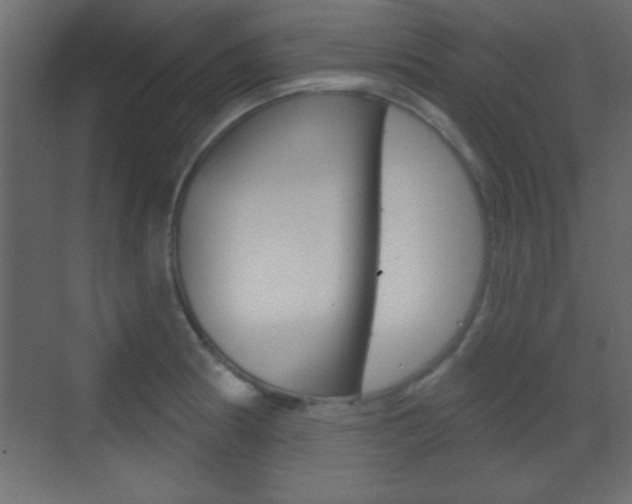 X0000070201186200605261028