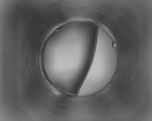 X0000070201187200605261028