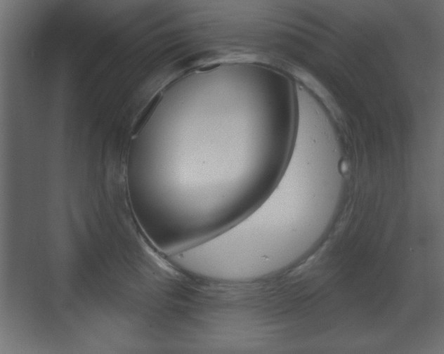 X0000070201193200605261028
