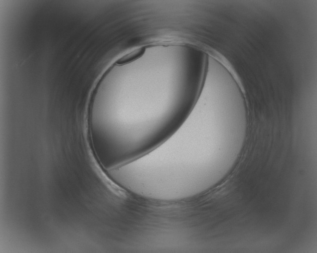 X0000070201195200605261028