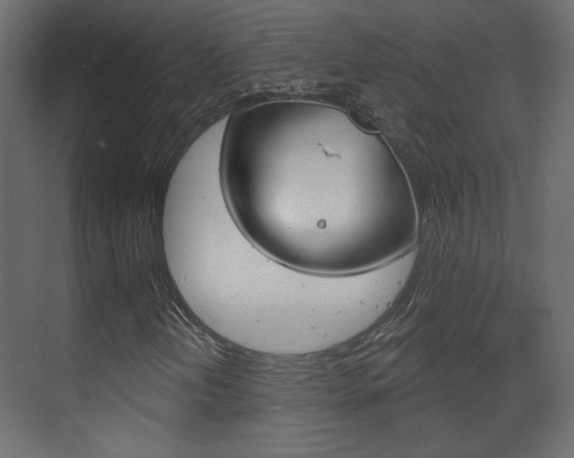 X0000070201202200605261027