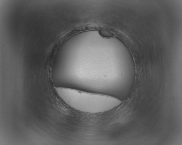 X0000070201207200605261027