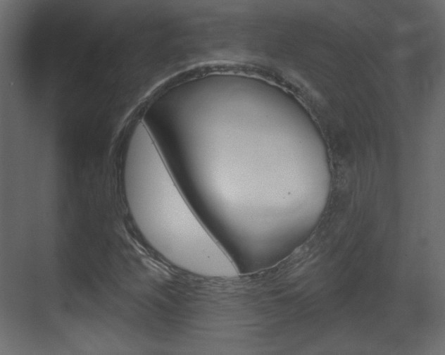 X0000070201208200605261027
