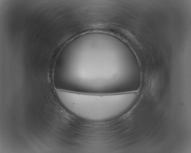 X0000070201209200605261027