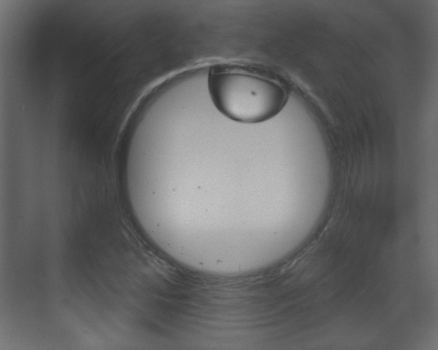 X0000070201214200605261027