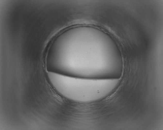 X0000070201215200605261027