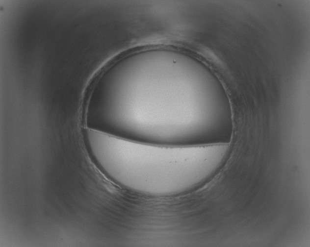 X0000070201216200605261027