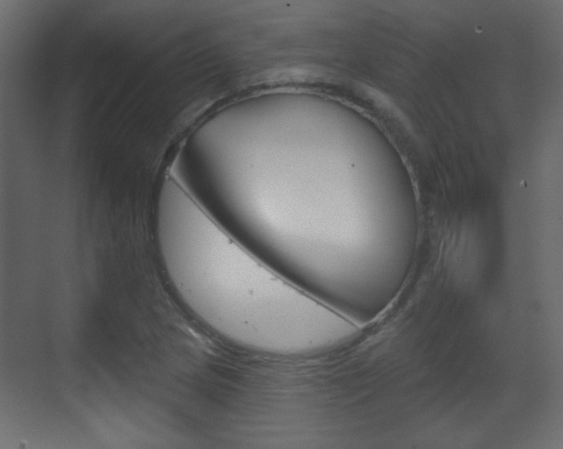 X0000070201217200605261027