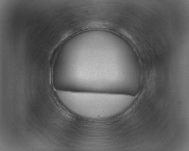 X0000070201219200605261027