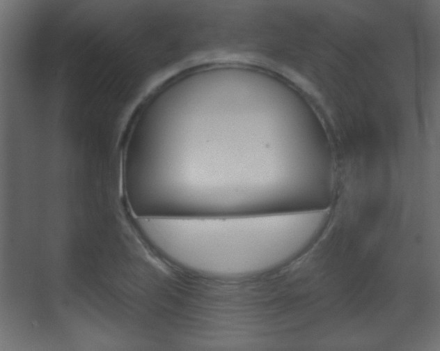 X0000070201223200605261027