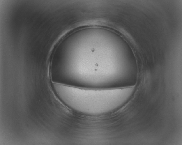 X0000070201224200605261027