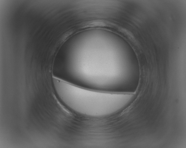 X0000070201225200605261027