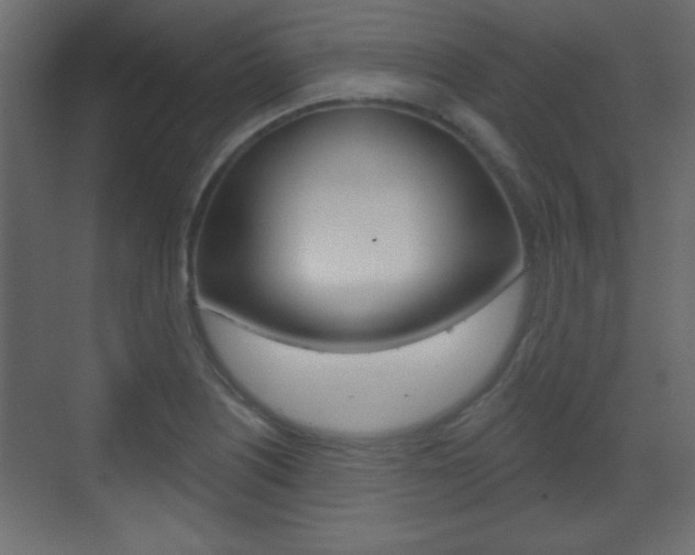 X0000070201226200605261027