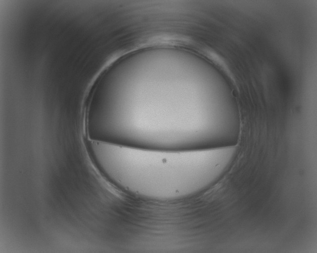X0000070201227200605261027