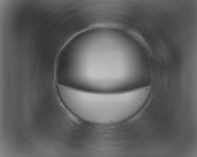 X0000070201228200605261027