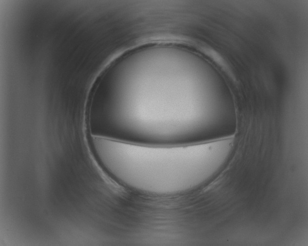 X0000070201229200605261027