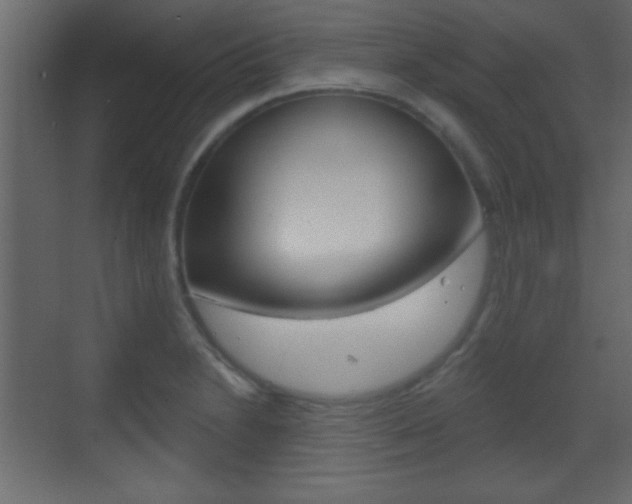 X0000070201230200605261027