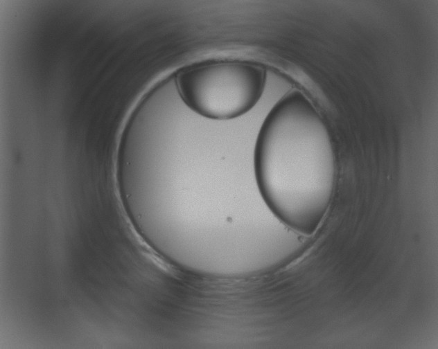 X0000070201232200605261027