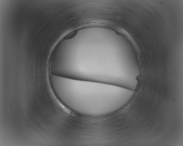 X0000070201235200605261027