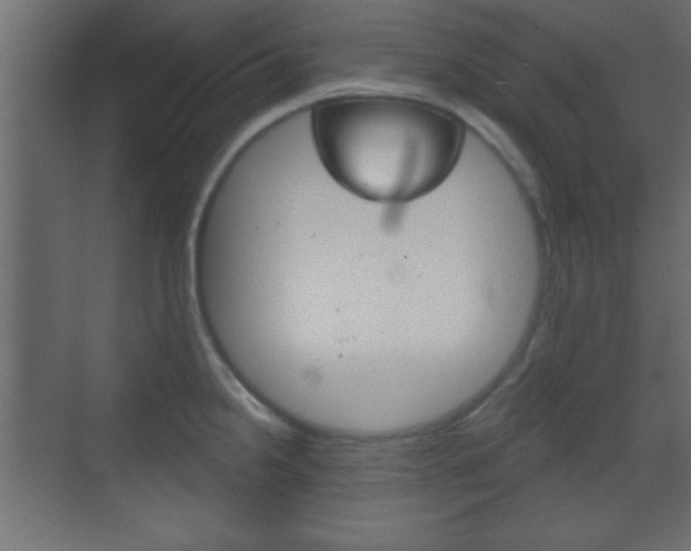 X0000070201238200605261028