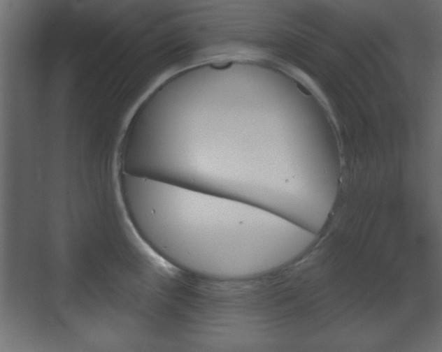 X0000070201243200605261028