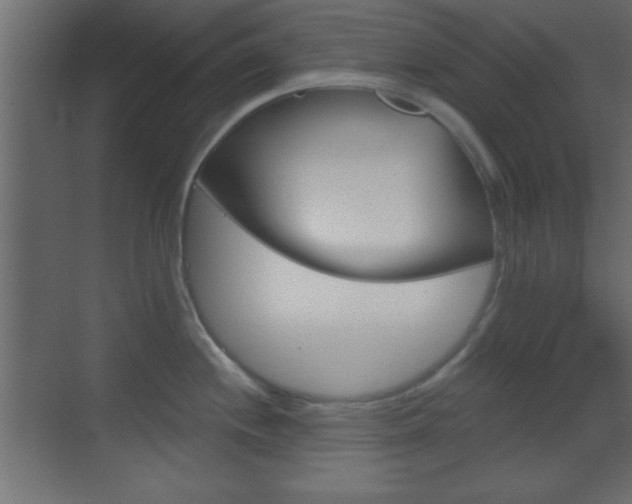 X0000070201244200605261028
