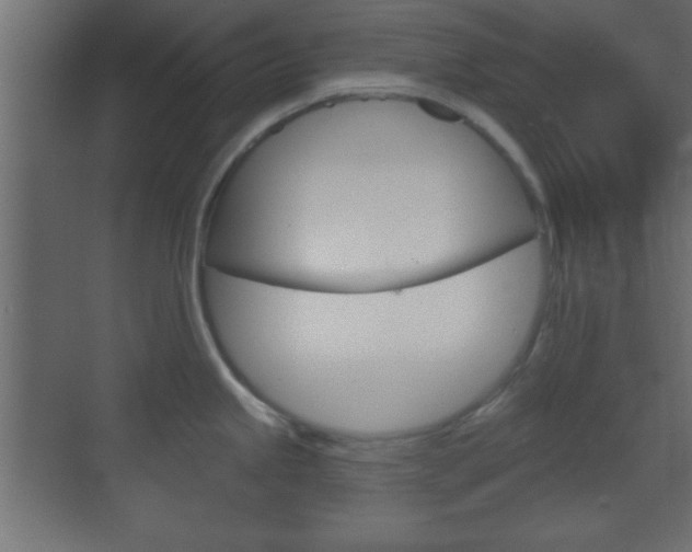 X0000070201245200605261028