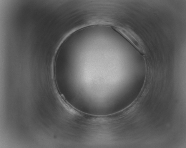 X0000070201246200605261028