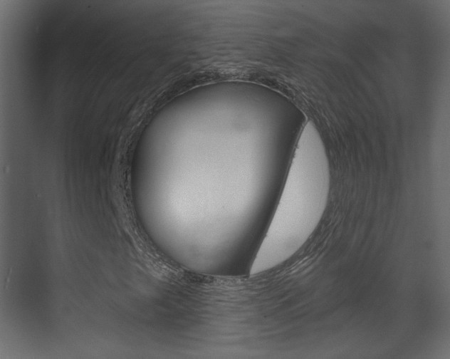 X0000070201249200605261027