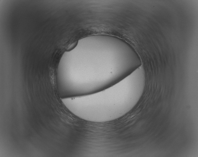 X0000070201251200605261027