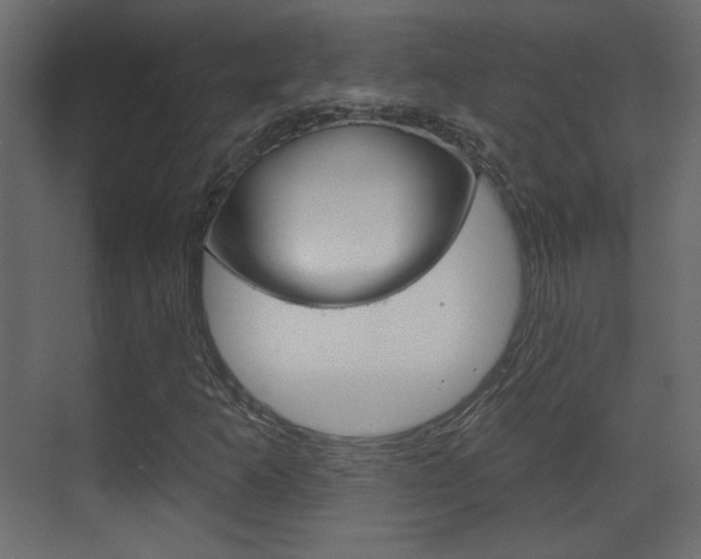 X0000070201253200605261027